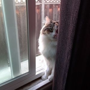 Meet your Posher, Ronda